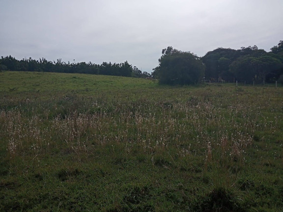 Imagem Chácara à Venda, 10.000 m² em águas Claras - Viamão Imagem Chácara à Venda, 10.000 m² em águas Claras - Viamão