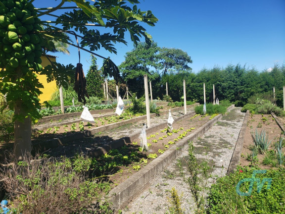 Imagem Imóvel com 4 Quartos à Venda, 36.000 m² em Itapeti - Mogi Das Cruzes