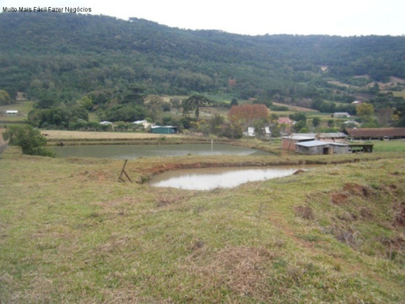 Imagem Imóvel com 7 Quartos à Venda, 5 m² em Linha Imperial - Nova Petrópolis Imagem Imóvel com 7 Quartos à Venda, 5 m² em Linha Imperial - Nova Petrópolis