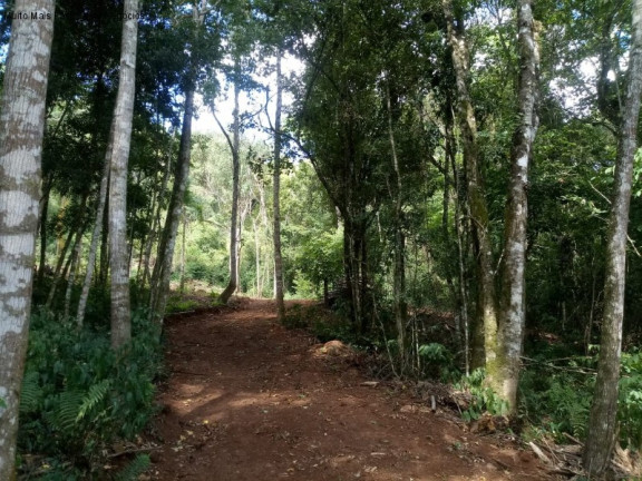 Imagem Terreno à Venda, 3 m² em Linha Pirajá Alta - Nova Petrópolis