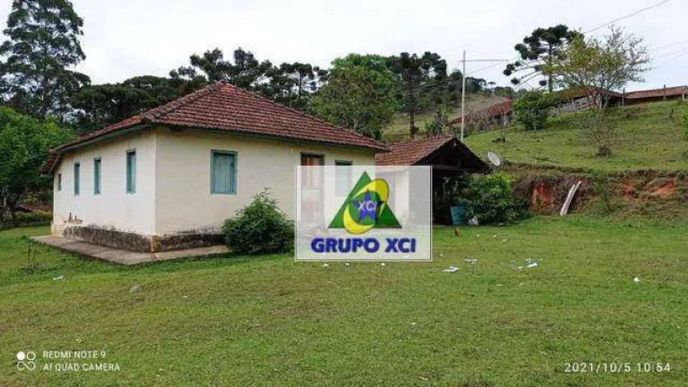 Imagem Terreno à Venda, 266.200 m² em Dos Limas - Joanópolis Imagem Terreno à Venda, 266.200 m² em Dos Limas - Joanópolis