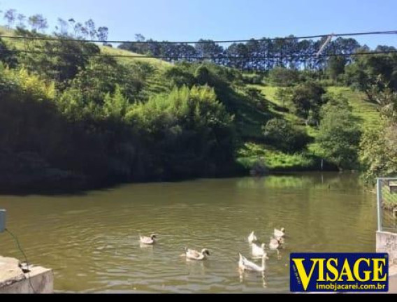 Imagem Chácara com 4 Quartos à Venda, 55 m² em Mato A Dentro - Jacareí Imagem Chácara com 4 Quartos à Venda, 55 m² em Mato A Dentro - Jacareí