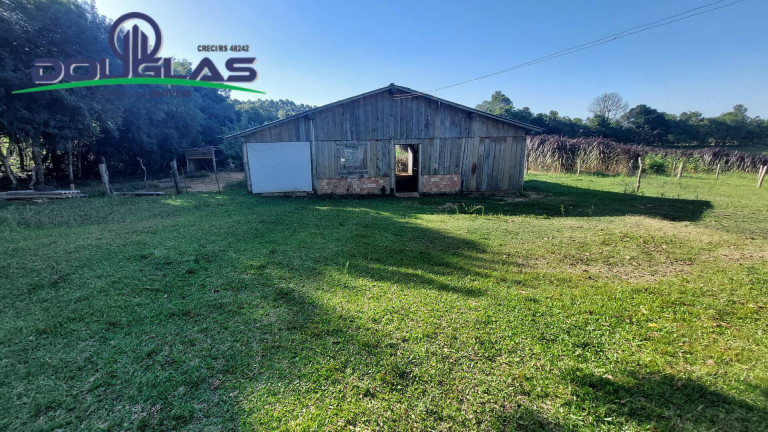 Imagem Chácara com 3 Quartos à Venda, 20.000 m² em águas Claras - Viamão Imagem Chácara com 3 Quartos à Venda, 20.000 m² em águas Claras - Viamão