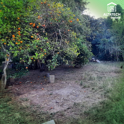 Imagem Imóvel com 2 Quartos à Venda, 1.100 m² em Rio Pardo - Bandeira Do Sul Imagem Imóvel com 2 Quartos à Venda, 1.100 m² em Rio Pardo - Bandeira Do Sul
