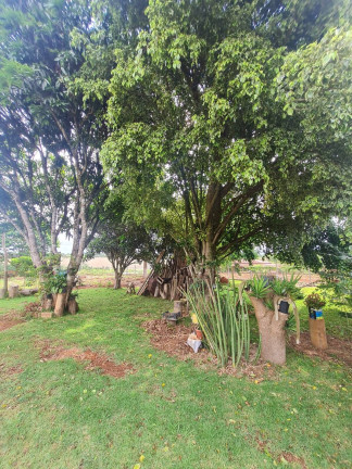 Imagem Chácara com 3 Quartos à Venda, 3.000 m² em Chacaras Reunidas - Pilar Do Sul Imagem Chácara com 3 Quartos à Venda, 3.000 m² em Chacaras Reunidas - Pilar Do Sul