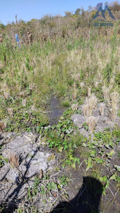 Imagem Fazenda à Venda, 20.000 m² em Jaboticatubas Imagem Fazenda à Venda, 20.000 m² em Jaboticatubas