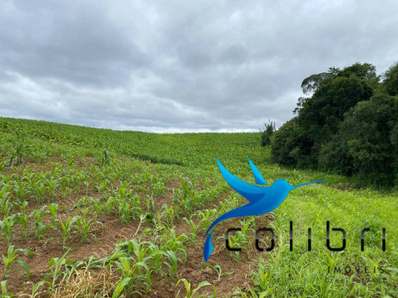 Imagem Chácara à Venda, 20.637 m² em Lagoa Dos Pretos - Agudos Do Sul