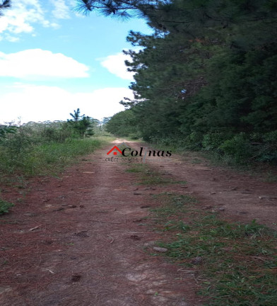 Imagem Terreno à Venda, 500 m² em Depois Do Centro - Ibiúna Imagem Terreno à Venda, 500 m² em Depois Do Centro - Ibiúna