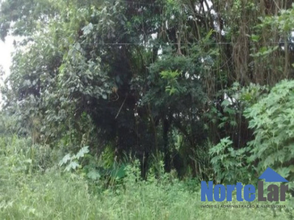 Imagem Terreno à Venda, 572 m² em Vila Machado - Mairiporã Imagem Terreno à Venda, 572 m² em Vila Machado - Mairiporã