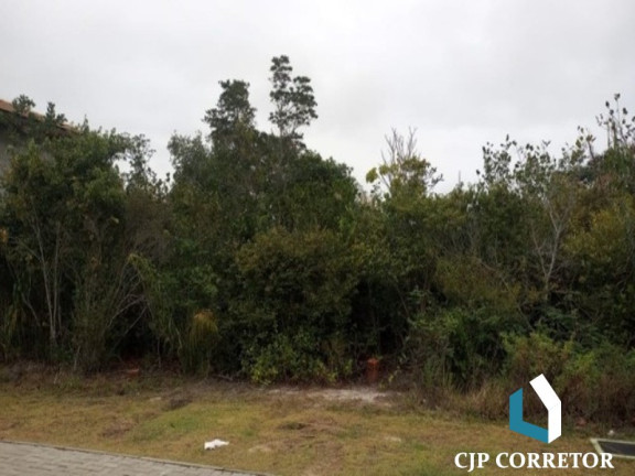 Imagem Terreno à Venda, 700 m² em Praia Do Forte - Mata De Sao Joao