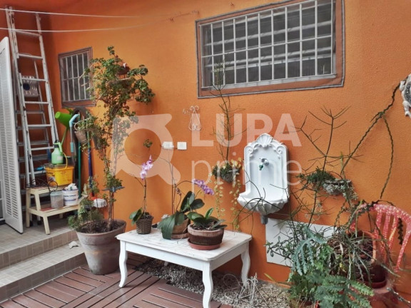 Imagem Casa com 4 Quartos à Venda, 120 m² em Parque Mandaqui - São Paulo Imagem Casa com 4 Quartos à Venda, 120 m² em Parque Mandaqui - São Paulo