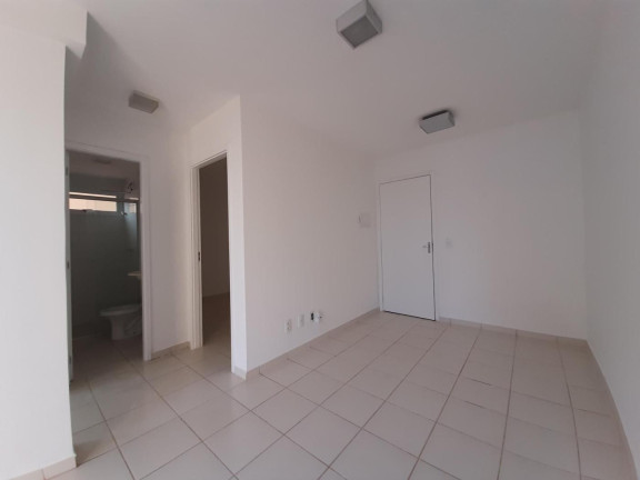 Imagem Apartamento com 2 Quartos à Venda, 55 m² em Jardim Planalto - São José Do Rio Preto Imagem Apartamento com 2 Quartos à Venda, 55 m² em Jardim Planalto - São José Do Rio Preto