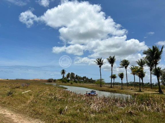 Imagem Terreno à Venda, 2.400 m² em Praia Da Xepa - São Miguel Do Gostoso Imagem Terreno à Venda, 2.400 m² em Praia Da Xepa - São Miguel Do Gostoso
