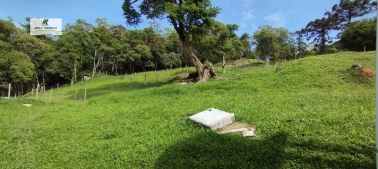 Imagem Chácara com 3 Quartos à Venda, 20.000 m² em Sorocamirim (canguera) - São Roque Imagem Chácara com 3 Quartos à Venda, 20.000 m² em Sorocamirim (canguera) - São Roque