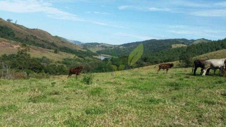 Chácara com 4 Quartos à Venda, 193.600 m² em Centro - Piracaia