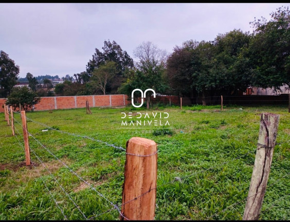 Terreno à Venda, 300 m² em São João - Santa Maria
