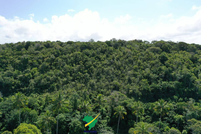Imagem Terreno à Venda, 441.000 m² em Orla Norte - Porto Seguro Imagem Terreno à Venda, 441.000 m² em Orla Norte - Porto Seguro