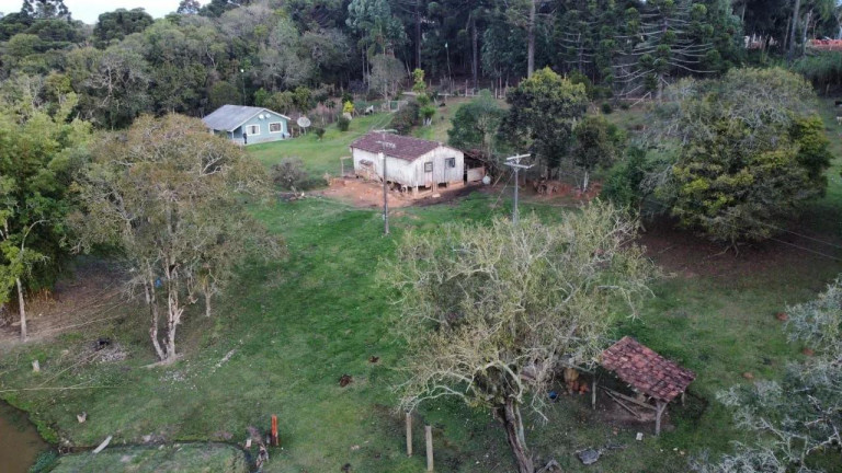 Imagem Imóvel com 5 Quartos à Venda, 48.000 m² em São João Do Caiva - Lapa Imagem Imóvel com 5 Quartos à Venda, 48.000 m² em São João Do Caiva - Lapa