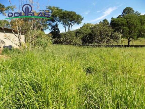 Imagem Imóvel Comercial à Venda, 5.000 m² em águas Claras - Viamão Imagem Imóvel Comercial à Venda, 5.000 m² em águas Claras - Viamão
