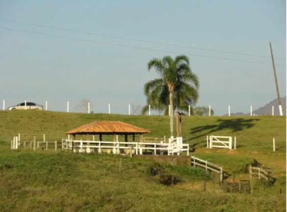 Imagem Fazenda à Venda, 3.000 m² em Centro - Tijucas Do Sul