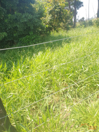 Terreno à Venda, 25.000 m² em Piracangaguá - Taubaté