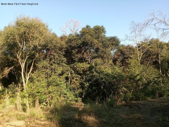 Imagem Terreno à Venda, 2.000 m² em Germânia - Nova Petrópolis Imagem Terreno à Venda, 2.000 m² em Germânia - Nova Petrópolis