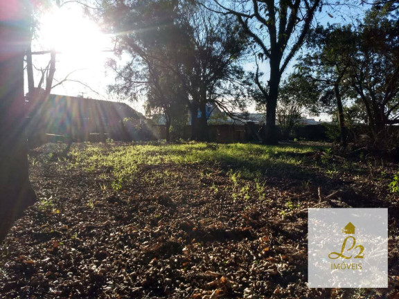 Imagem Terreno à Venda, 4.360 m² em Sítio Cercado - Curitiba