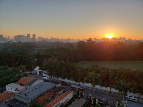 Imagem Apartamento com 2 Quartos para Alugar, 125 m² em Chácara Santo Antônio - São Paulo Imagem Apartamento com 2 Quartos para Alugar, 125 m² em Chácara Santo Antônio - São Paulo