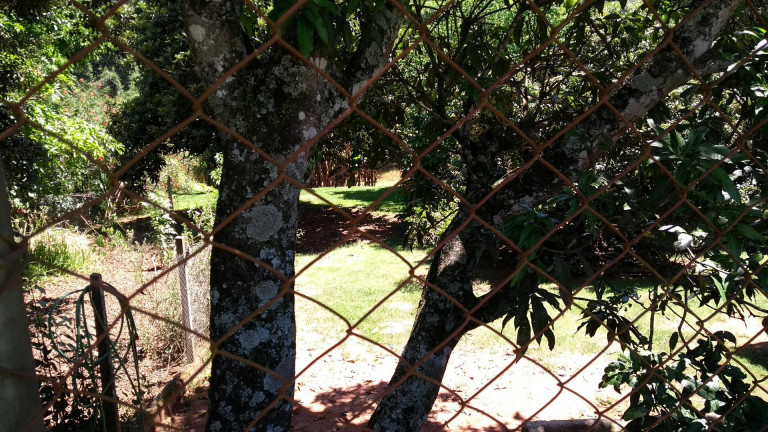 Imagem Chácara com 3 Quartos à Venda, 6.185 m² em Jardim Estância Brasil - Atibaia Imagem Chácara com 3 Quartos à Venda, 6.185 m² em Jardim Estância Brasil - Atibaia