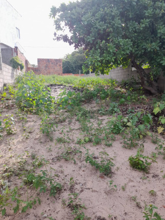 Terreno à Venda, 210 m² em Praia Da Pipa - Tibau Do Sul