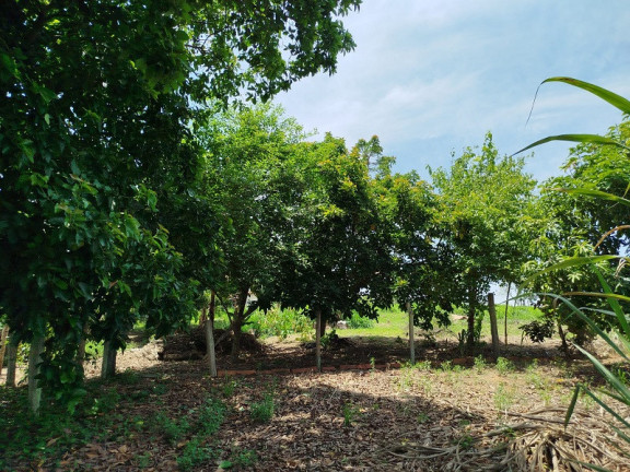 Imagem Imóvel à Venda, em São José Dos Campos Imagem Imóvel à Venda, em São José Dos Campos