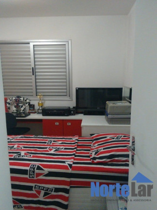 Imagem Apartamento com 3 Quartos à Venda, 55 m² em Vila Roque - São Paulo