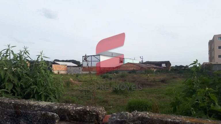 Imagem Terreno à Venda, 3.000 m² em Independência - São José Dos Pinhais Imagem Terreno à Venda, 3.000 m² em Independência - São José Dos Pinhais