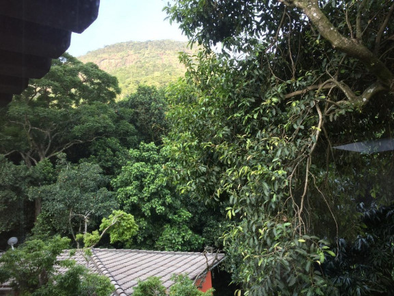 Imagem Casa com 3 Quartos à Venda, 336 m² em São Conrado - Rio De Janeiro