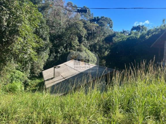 Imagem Casa com 2 Quartos à Venda, 336 m² em Pousada Da Neve - Nova Petrópolis