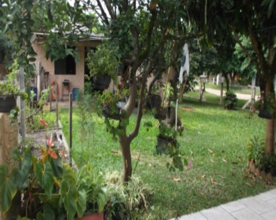 Imagem Casa com 2 Quartos à Venda, 178 m² em Centro - Arambaré