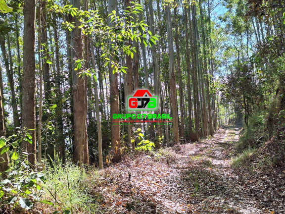 Imagem Chácara à Venda, 8 m² em São Francisco Xavier - São José Dos Campos Imagem Chácara à Venda, 8 m² em São Francisco Xavier - São José Dos Campos