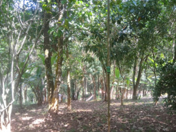 Imagem Imóvel com 2 Quartos à Venda, 9.000 m² em Condomínio Rural Clube Campestre De Caeté Juca Vieira - Caeté Imagem Imóvel com 2 Quartos à Venda, 9.000 m² em Condomínio Rural Clube Campestre De Caeté Juca Vieira - Caeté