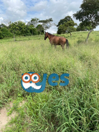 Imagem Imóvel com 6 Quartos à Venda, 78.048 m² em Zona Rural - São Gonçalo Dos Campos