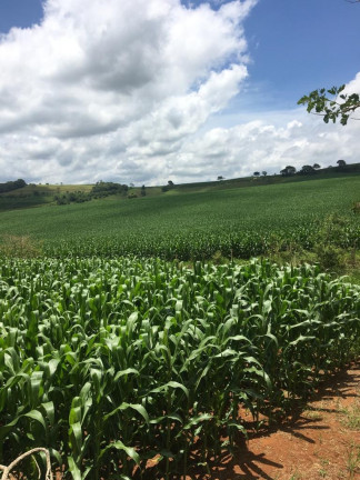 Imagem Imóvel à Venda, em Zona Rural - Turvolândia Imagem Imóvel à Venda, em Zona Rural - Turvolândia