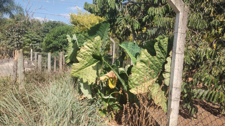 Imagem Chácara com 3 Quartos à Venda, 2.200 m² em Jundiaguara - Araçoiaba Da Serra Imagem Chácara com 3 Quartos à Venda, 2.200 m² em Jundiaguara - Araçoiaba Da Serra