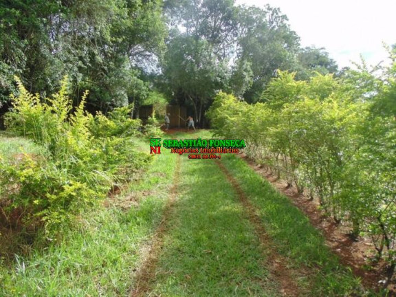 Imagem Chácara com 5 Quartos à Venda, 96.800 m² em Cedro - Cunha Imagem Chácara com 5 Quartos à Venda, 96.800 m² em Cedro - Cunha
