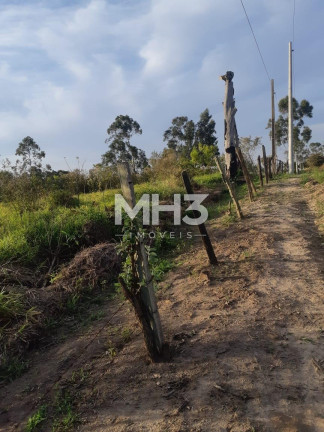 Imagem Terreno à Venda, 54.000 m² em Chácara Recreio Cruzeiro Do Sul - Santa Bárbara D'oeste