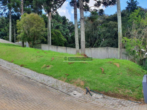 Imagem Terreno à Venda, 607 m² em Campo Comprido - Curitiba Imagem Terreno à Venda, 607 m² em Campo Comprido - Curitiba