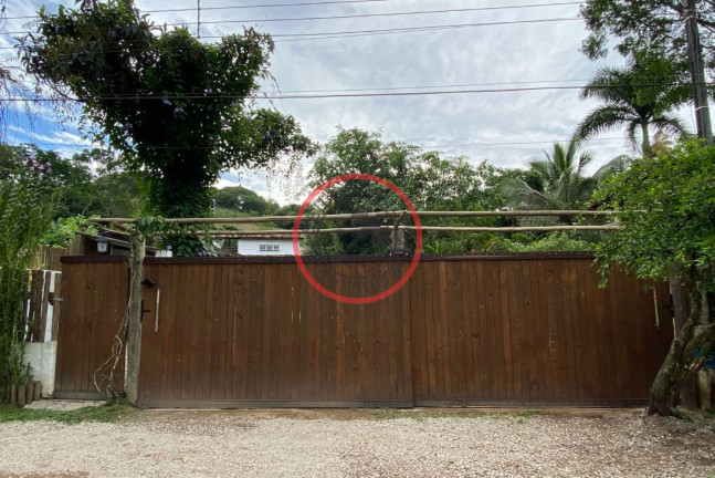 Imagem Casa com 4 Quartos à Venda, 238 m² em Boiçucanga - São Sebastião