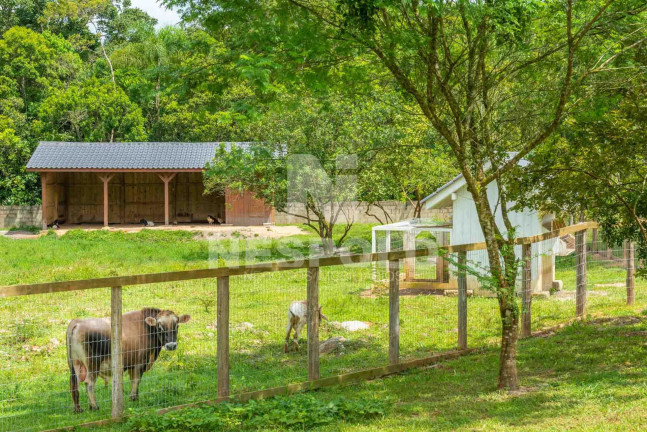 Imagem Terreno à Venda, em Rio Do Meio - Camboriu Imagem Terreno à Venda, em Rio Do Meio - Camboriu