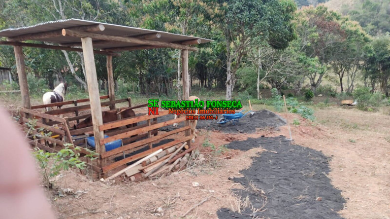 Imagem Chácara com 3 Quartos à Venda, 3.000 m² em Centro - Paraibuna Imagem Chácara com 3 Quartos à Venda, 3.000 m² em Centro - Paraibuna