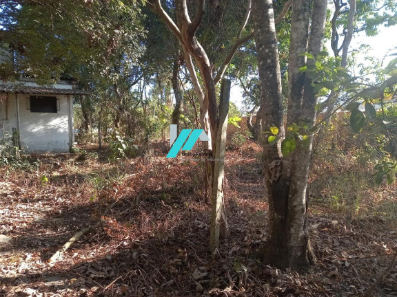 Imagem Fazenda à Venda, 2.300 m² em Cidade Jardim - Esmeraldas Imagem Fazenda à Venda, 2.300 m² em Cidade Jardim - Esmeraldas