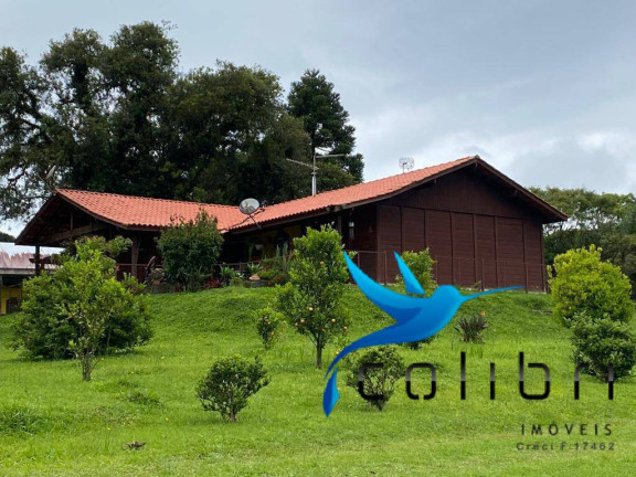 Imagem Chácara com 3 Quartos à Venda, 47.513 m² em Capoeira Dos Dinos - Piraquara