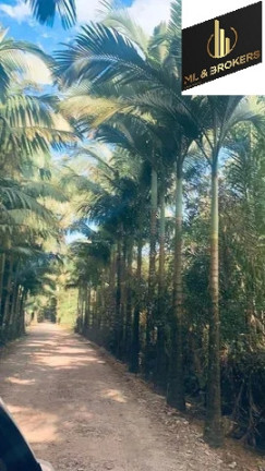 Imóvel à Venda, 40.000 m² em Centro - Antonina